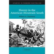 Slavery in the American Mountain South by Wilma A. Dunaway, 9780521812757