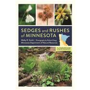 Sedges and Rushes of Minnesota by Smith, Welby R.; Haug, Richard, 9781517902759