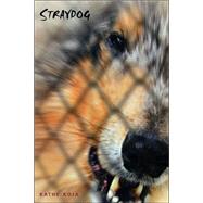 Straydog by Kathe Koja, 9780374372781