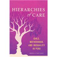 Hierarchies of Care by Van Vleet, Krista E., 9780252042782