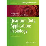 Quantum Dots by Fontes, Adriana; Santos, Beate Saegesser, 9781493912797