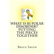 What Is Bi Polar Disorder?: Putting the Pieces Together by Smith, Bruce D., 9781484042809
