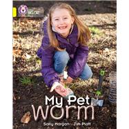 My Pet Worm by Morgan, Sally; Platt, Tim, 9780007512829