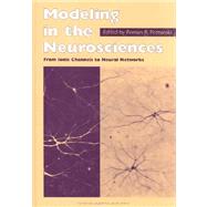 Modeling in the Neurosciences: From Ionic Channels to Neural Networks by Poznanski; R.R., 9789057022845