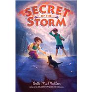 Secret of the Storm by McMullen, Beth, 9781534482852
