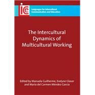 The Intercultural Dynamics of Multicultural Working by Guilherme, Manuela; Glaser, Evelyne; Mendez-garcia, Maria Del Carmen, 9781847692856