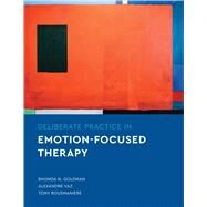 Deliberate Practice in Emotion-Focused Therapy by Goldman, Rhonda N.; Vaz, Alexandre; Rousmaniere, Tony, 9781433832857