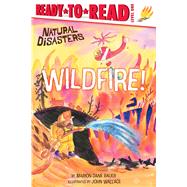 Wildfire! Ready-to-Read Level 1 by Bauer, Marion  Dane; Wallace, John, 9798347102860