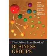The Oxford Handbook of Business Groups by Colpan, Asli M.; Hikino, Takashi; Lincoln, James R., 9780199552863