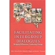 Facilitating Intergroup Dialogue by Maxwell, Kelly E.; Nagda, Biren A.; Thompson, Monita C.; Gurin, Patricia, 9781579222901