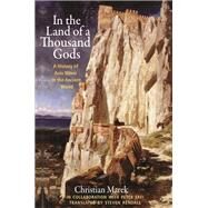 In the Land of a Thousand Gods by Marek, Christian; Frei, Peter (COL); Rendall, Steven, 9780691182902