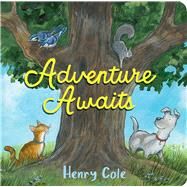 Adventure Awaits by Cole, Henry; Cole, Henry, 9781665902908
