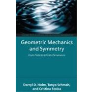 Geometric Mechanics and Symmetry From Finite to Infinite Dimensions by Holm, Darryl D.; Schmah, Tanya; Stoica, Cristina, 9780199212910