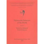 Pleistocene Palaeoart of the World by Bednarik, Robert G., 9781407302911