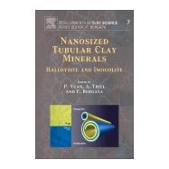 Nanosized Tubular Clay Minerals by Yuan, Peng; Thill, Antoine; Bergaya, Faiza, 9780081002933