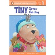 Tiny Saves the Day by Meister, Cari; Davis, Rich, 9780448482934