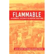 Flammable Environmental Suffering in an Argentine Shantytown by Auyero, Javier; Swistun, Debora Alejandra, 9780195372946