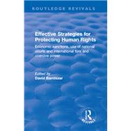 Effective Strategies for Protecting Human Rights: Economic Sanctions, Use of National Courts and International fora and Coercive Power by Barnhizer,David, 9781138702950