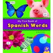 My First Book of Spanish Words by Kudela, Katy R., 9781429632980