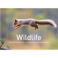 Wildlife by Drew Buckley Notecards 10 cards and envelopes by Buckley, Drew, 9781905582983