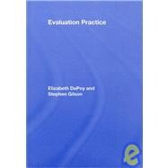 Evaluation Practice: How To Do Good Evaluation Research In Work Settings by DePoy; Elizabeth, 9780805862997