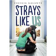The Strays Like Us by Galante, Cecilia, 9781338043006