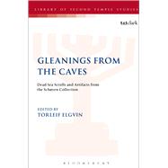Gleanings from the Caves Dead Sea Scrolls and Artefacts from the Schyen Collection by Elgvin, Torleif; Langlois, Michael; Davis, Kipp; Grabbe, Lester L., 9780567113009