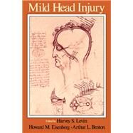 Mild Head Injury by Levin, Harvey S.; Eisenberg, Howard M.; Benton, Arthur L., 9780195053012
