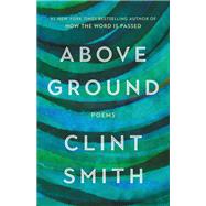 Above Ground by Smith, Clint, 9780316543033