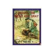 Behind the Blue and Gray : The Soldier's Life in the Civil War by Ray, Delia, 9780140383041