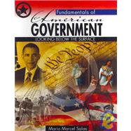 Fundamentals Of American/Texas Government by Salas, Mario M, 9780757563041