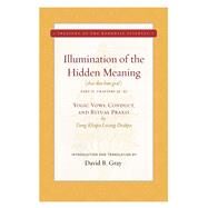 Illumination of the Hidden Meaning by Drakpa, Tsong Khapa Losang; Gray, David B., 9781949163049