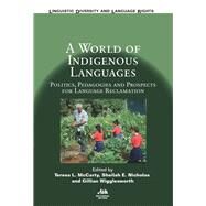 A World of Indigenous Languages by McCarty, Teresa L.; Nicholas, Sheilah E.; Wigglesworth, Gillian, 9781788923057