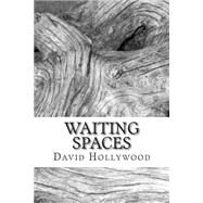 Waiting Spaces by Hollywood, David, 9781507633076