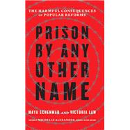 Prison by Any Other Name by Schenwar, Maya; Law, Victoria; Alexander, Michelle, 9781620973103