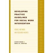 Developing Practice Guidelines for Social Work Intervention by Rosen, Aaron, 9780231123105