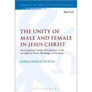 The Unity of Male and Female in Jesus Christ by Uzukwu, Gesila Nneka; Keith, Chris; Labahn, Michael, 9780567683106
