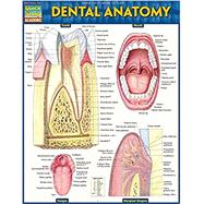 Dental Anatomy by Barcharts, Inc., 9781423233107