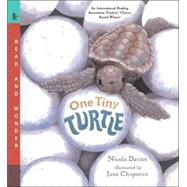 One Tiny Turtle Read and Wonder by Davies, Nicola; Chapman, Jane, 9780763623111