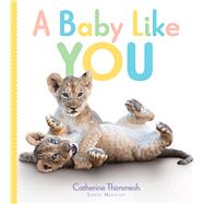 A Baby Like You by Thimmesh, Catherine, 9781328553126