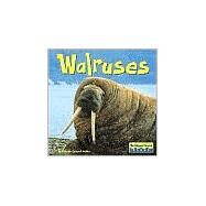 Walruses by Miller, Connie Colwell, 9780736843133