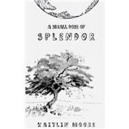 A Small Dose of Splendor by Moore, Kaitlin, 9781508583134