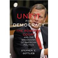 Unfit for Democracy by Gottlieb, Stephen E., 9781479823147