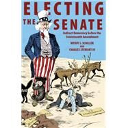 Electing the Senate by Schiller, Wendy J.; Stewart, Charles, III, 9780691163161