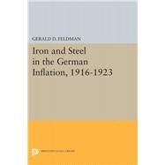 Iron and Steel in the German Inflation 1916-1923 by Feldman, Gerald D., 9780691633169