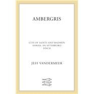 Ambergris by Vandermeer, Jeff, 9780374103170