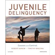 Juvenile Delinquency Causes and Control by Agnew, Robert; Brezina, Timothy, 9780197653173