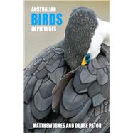 Australian Birds in Pictures by Jones, Matthew; Paton, Duade, 9781921073175