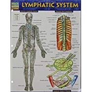 Lymphatic System by Barcharts, Inc., 9781423233183
