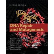 DNA Repair And Mutagenesis by Friedberg, Errol C.; Walker, Graham C.; Siede, Wolfram; Schultz, Roger A.; Ellenberger, Tom, 9781555813192
